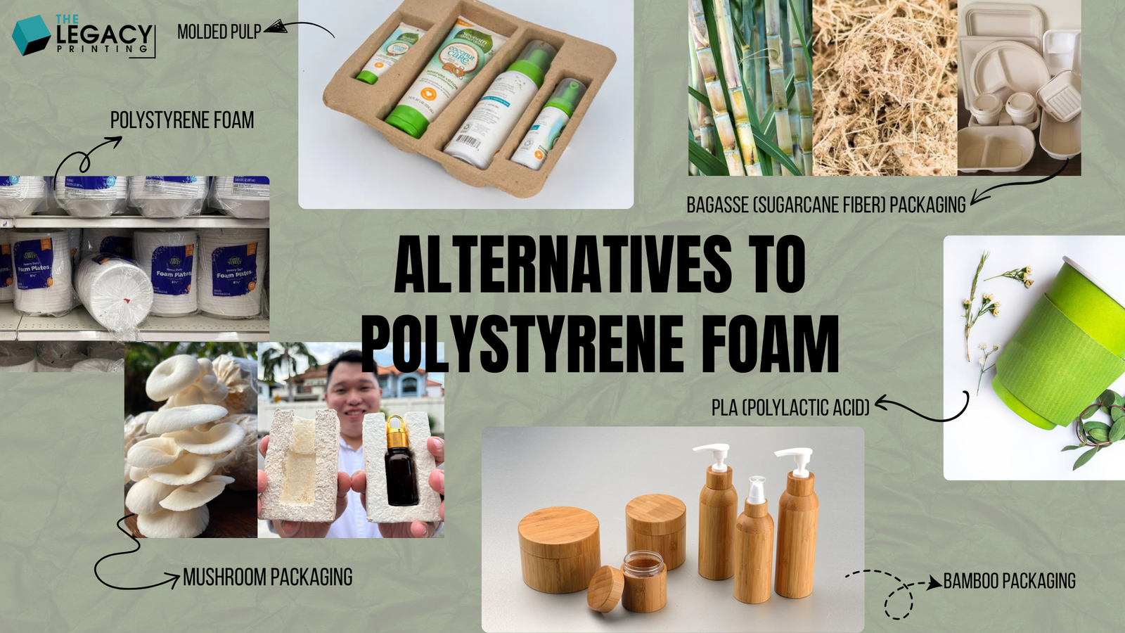 7 best Polystyrene Foam Alternatives for Restaurants