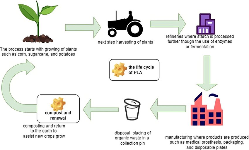 PLA-Polylactic Acid-packaging