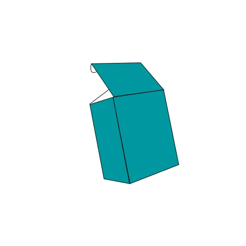tuck with bellow dust flap lock printing