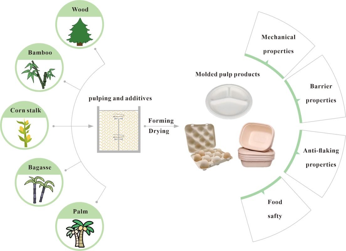 Molded-Pulp-packaging