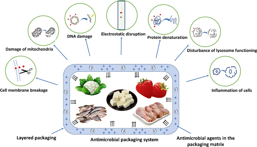 antimicrobial-packaging