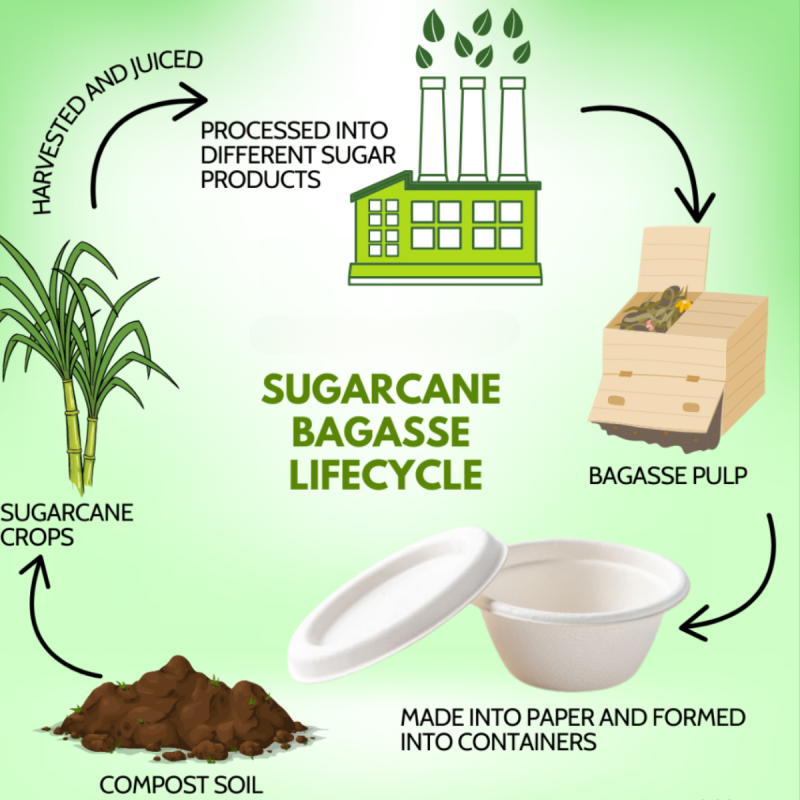 Bagasse-Sugarcane Fiber